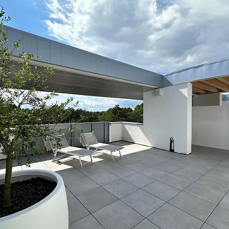 Penthouse With Pool And Solarium Apartment